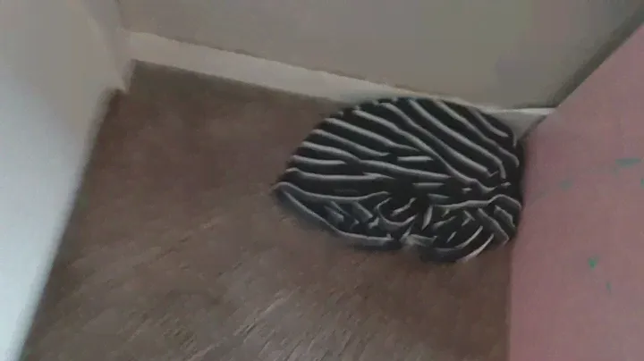 Bissell CleanView Helix vacuuming my room